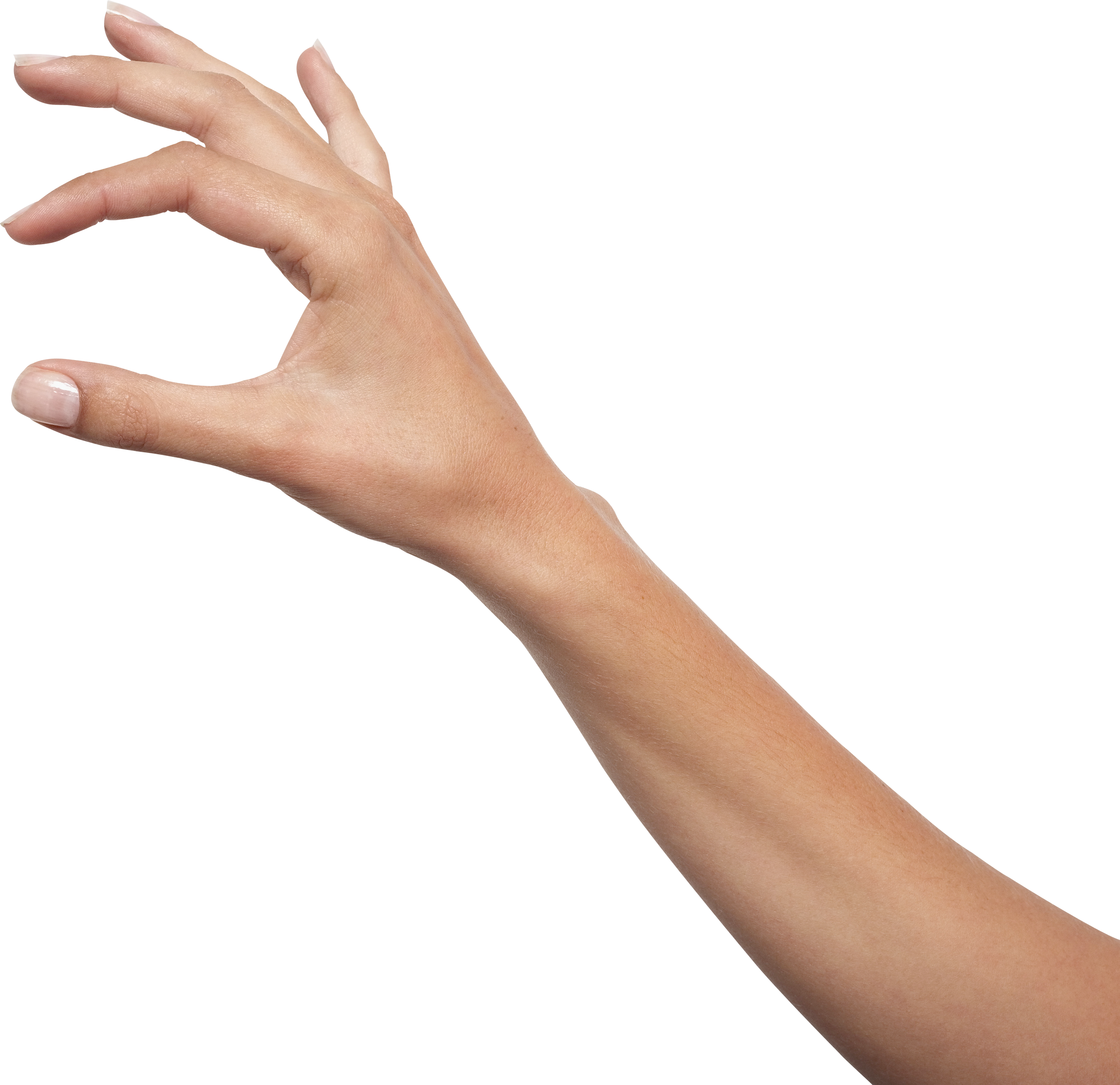 Рука. Рука на белом фоне. Человеческая рука. Рука человека. Рука 18 см